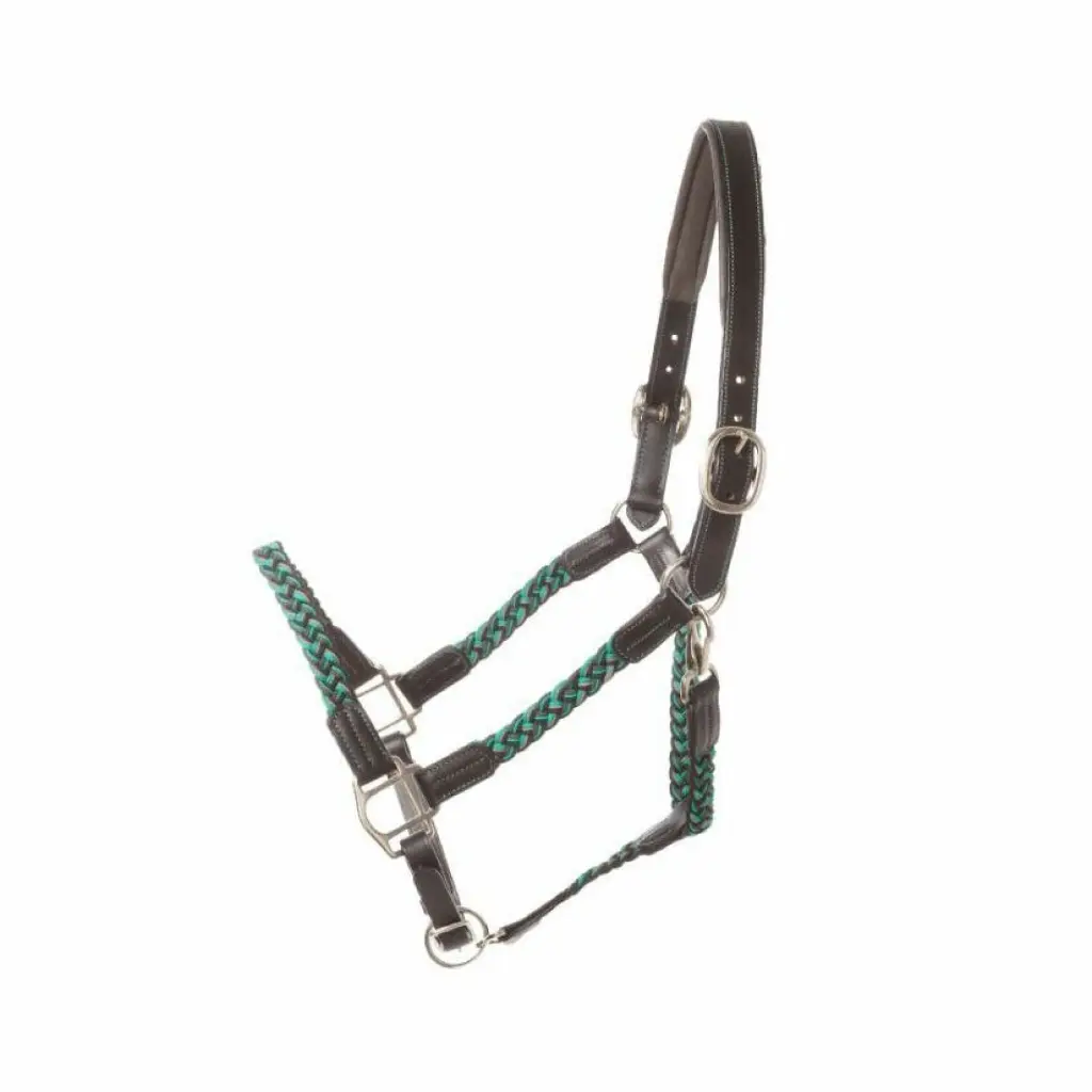 kavalkade halster tessa zwart-turquoie.webp