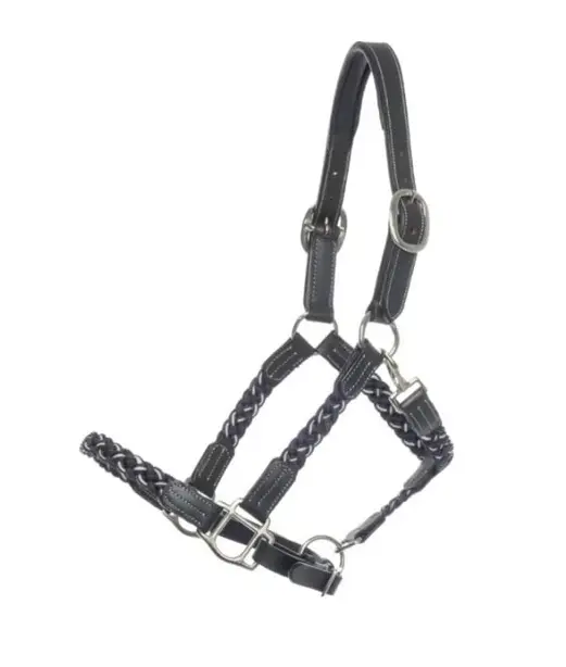 kavalkade halster tessa zwart-navy-white.webp