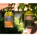 KNOC00118K+1-download.webp