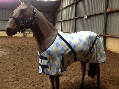 [IMP.01-135] Fleecedeken geruit (135 cm)