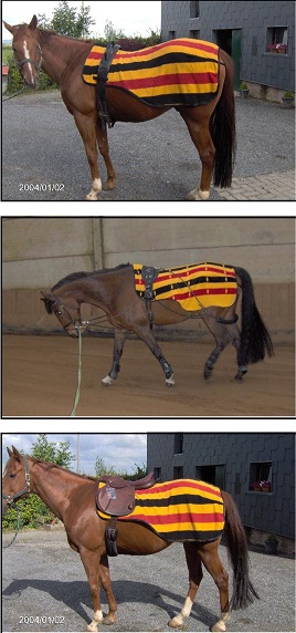 Uitrij-/longeerdeken