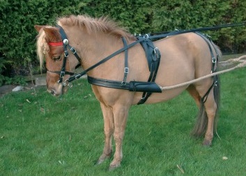 Tuig touw strengen