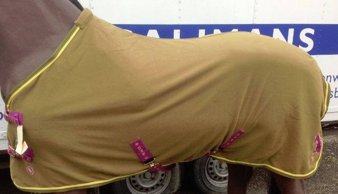 [3960092-175] Fleecedeken 4-ever horse (175 cm)