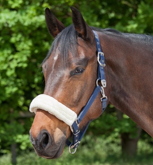 [1177301-Zwart] Neusbont (Zwart)