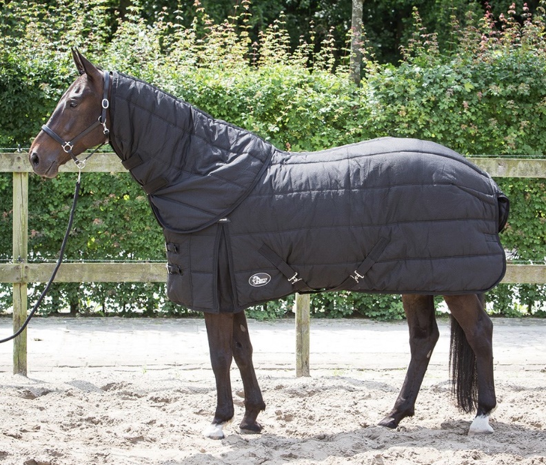 Staldeken Highliner Combo 200 