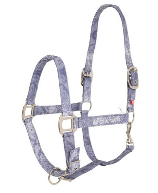 [HA40121002-Night Shadow-Cob] Halster Shiny snake (Night Shadow, Cob)