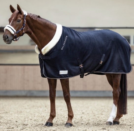 [1115705-195] Fleecedeken Modern Rose (195 cm)