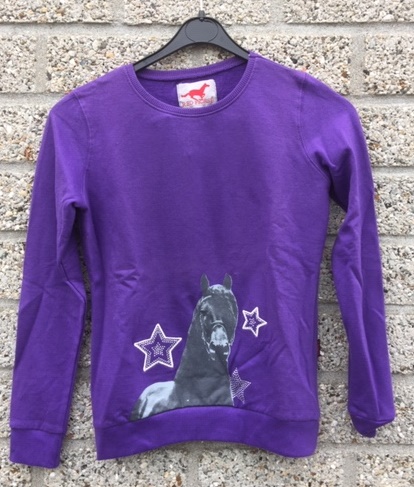 [590008-violet-140] Trui Fancy Junior (140)