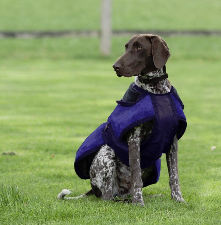 [6110-Graphite-65 cm ] Hondendeken Turnout special (Graphite, 65 cm)