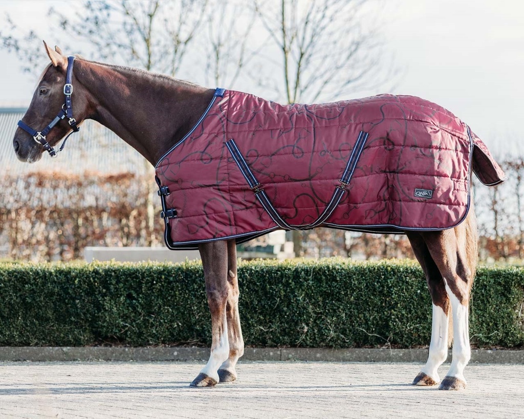 [6198-Saddlery-195] Staldeken start collection 200gr (Saddlery, 195 cm)