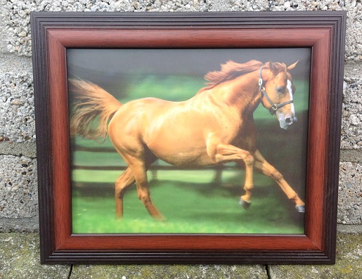 3D schilderij