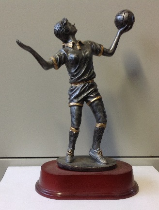 Volleybal Dames