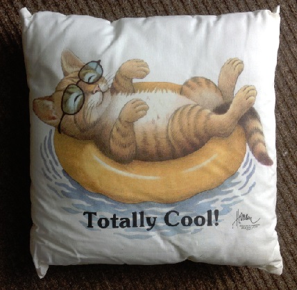 Kussen Totally Cool