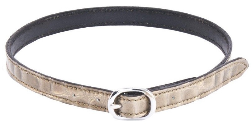 Sporenriempjes Apollo