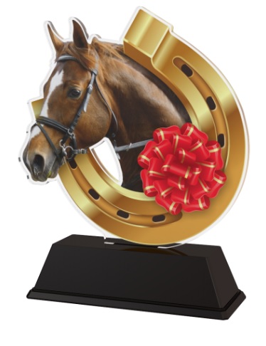 [standaardpaardenhoofd1] Standaard paardenhoofd