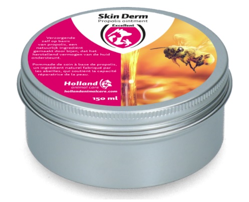 Skin Derm Propolis Zalf