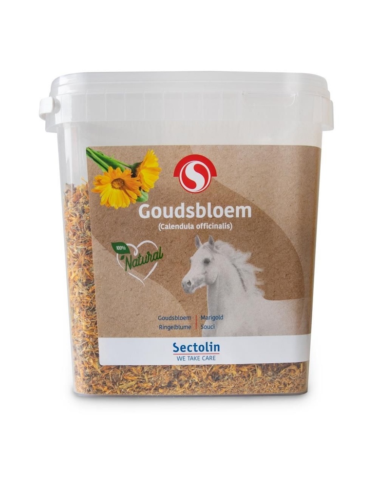 Goudsbloem