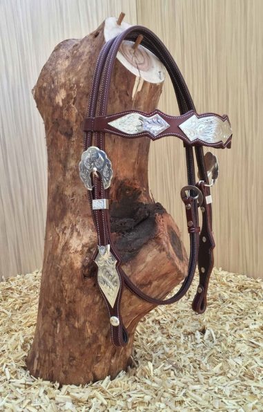 Western showhoofdstel