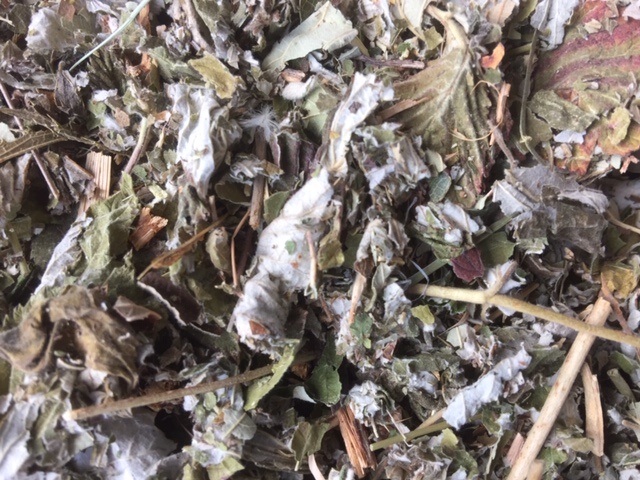 [frambozenblad] Frambozenblad