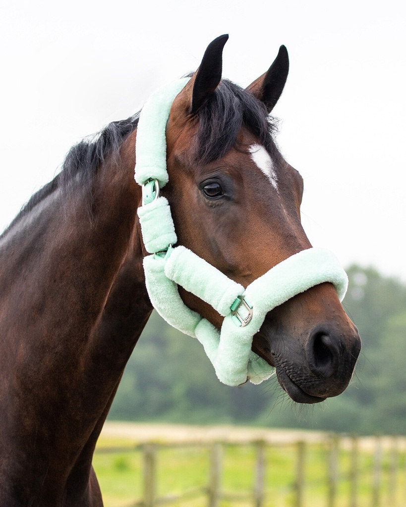 Halster Alaska (Roze, Full)