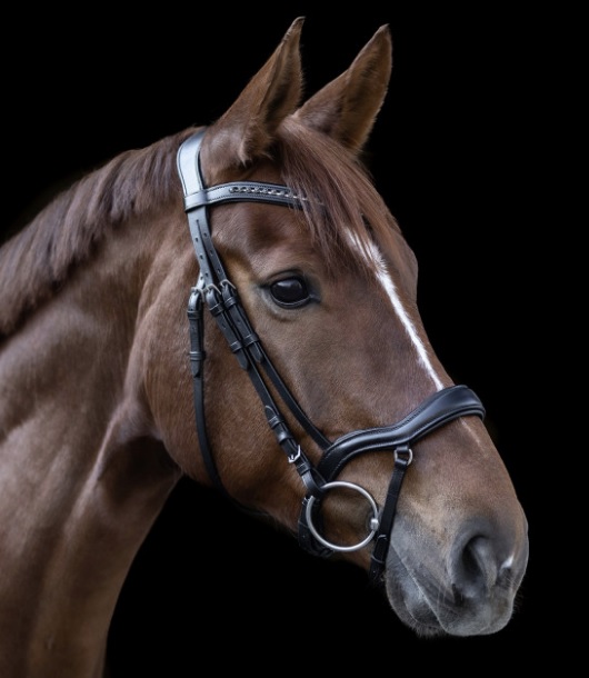 Hoofdstel X-Line New Shape (Full)