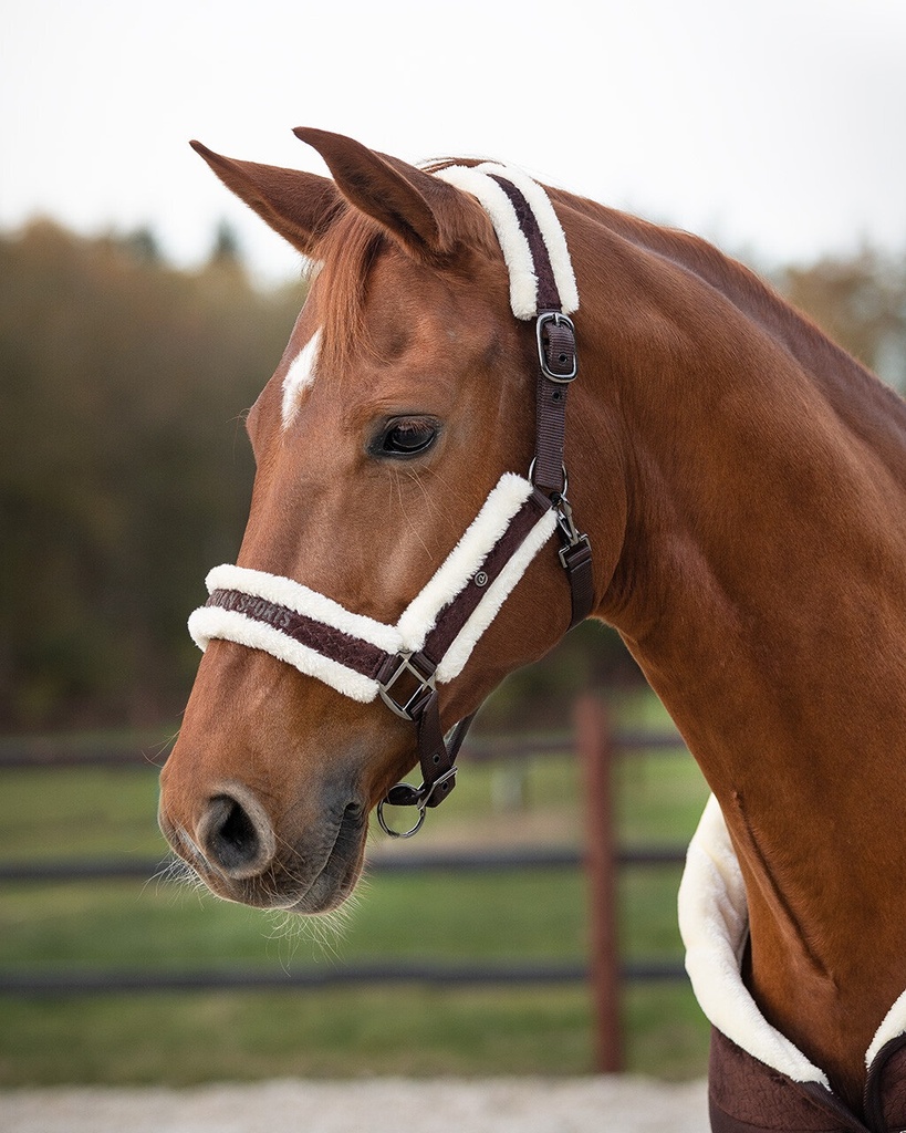 Halsterset Coffee (Coffee, Full)