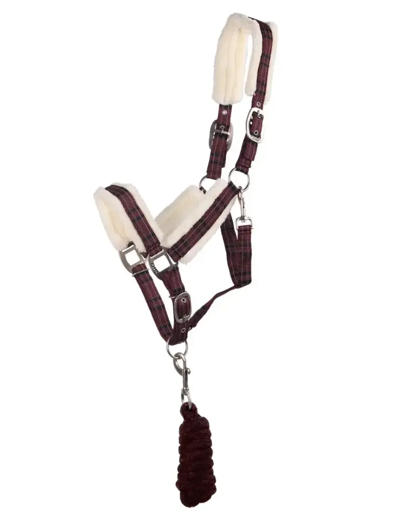 Halsterset bont (Midnight, Pony)