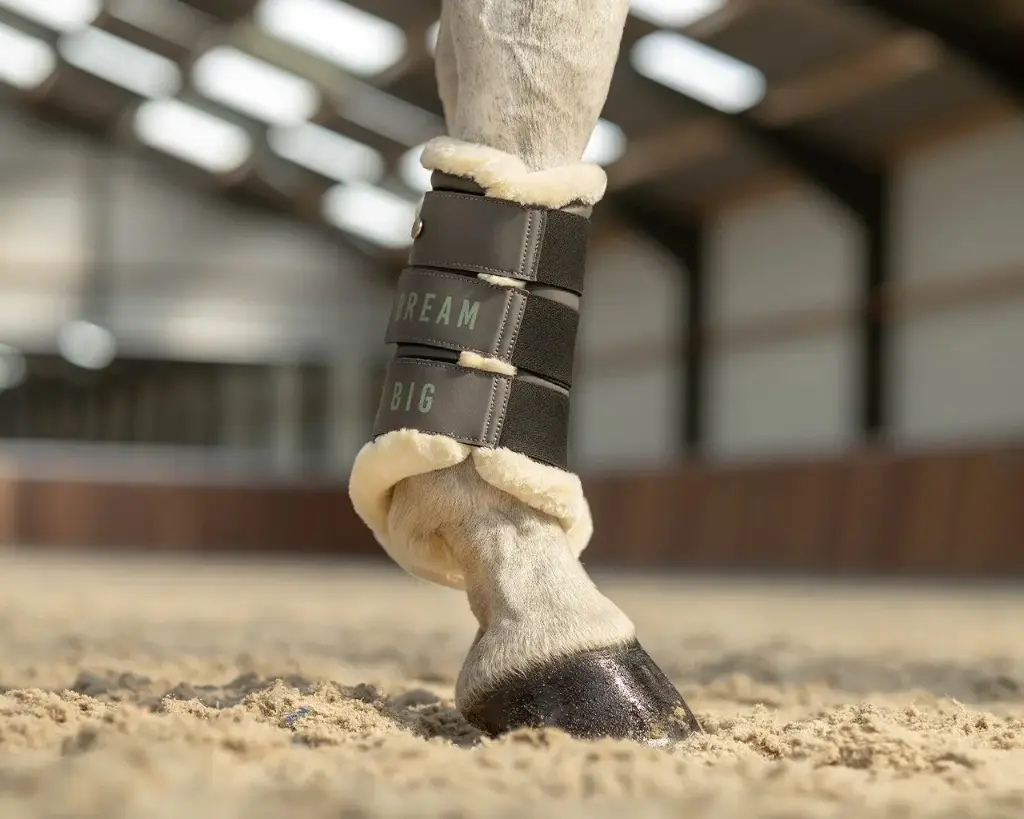 Beenbeschermers Equestrian Dream (Iron Grey, XL)