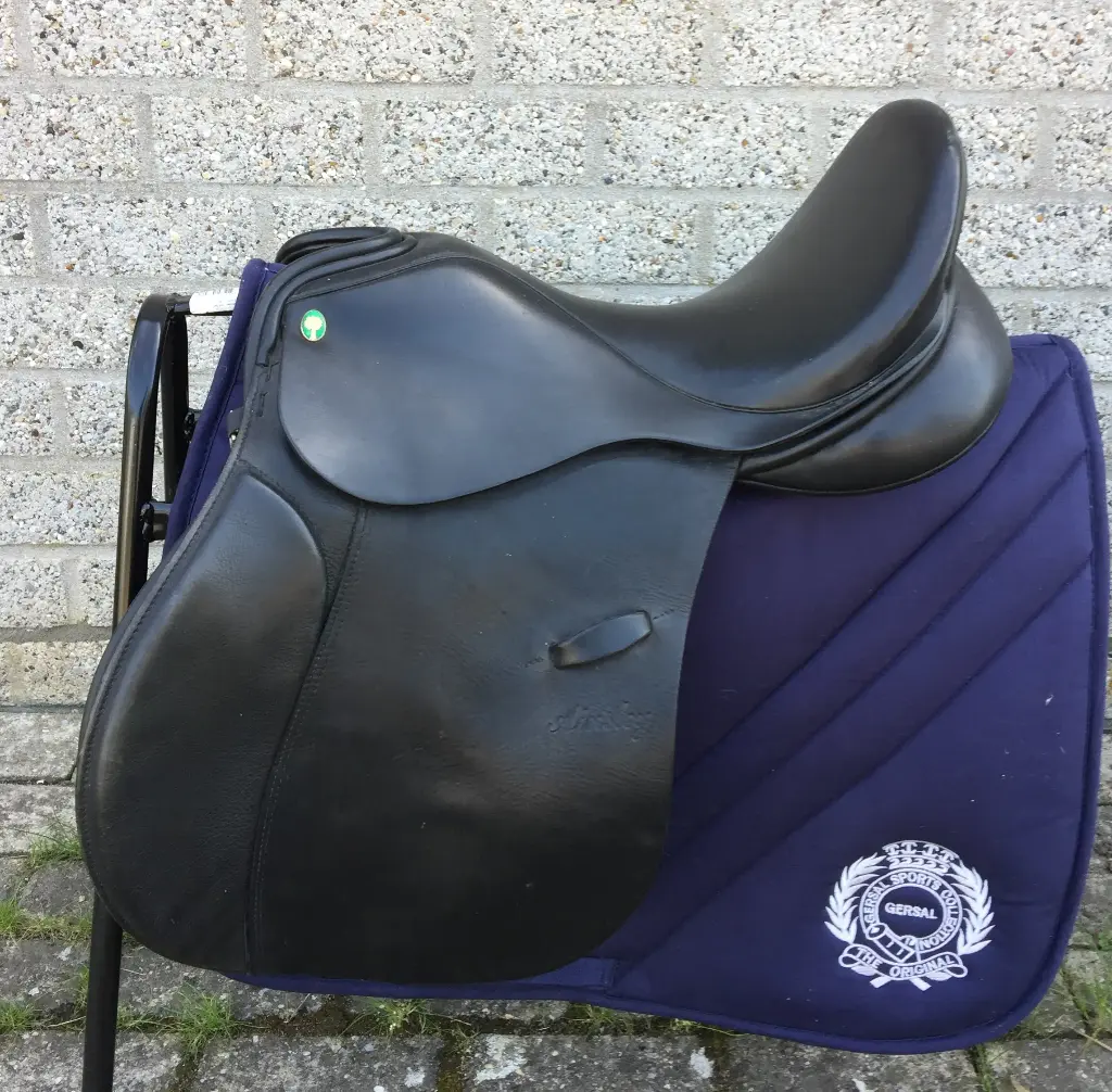 Springzadel Ainsley (53)