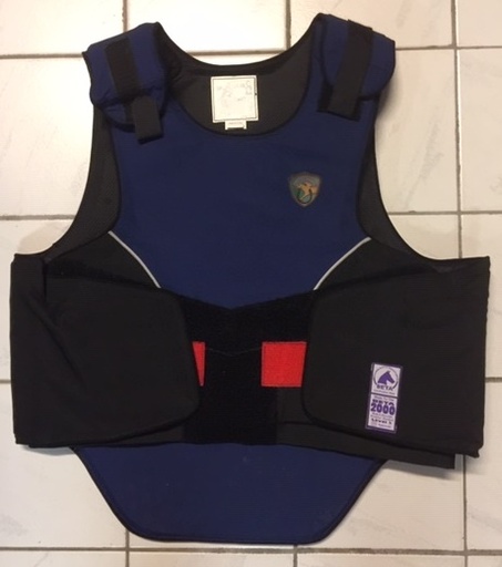 [bod.rs.1] Bodyprotector Ride Saver