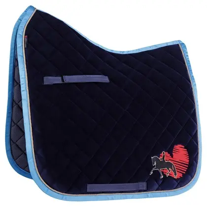 Zadeldek Friesian Style