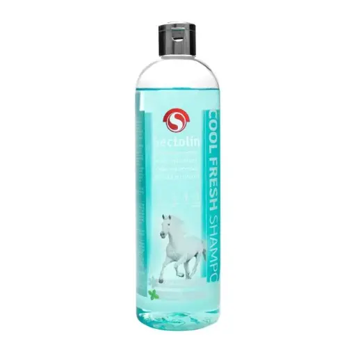 Shampoo Coolfresh