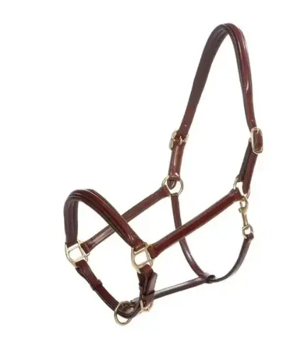 Kavalkade halster leer Charming