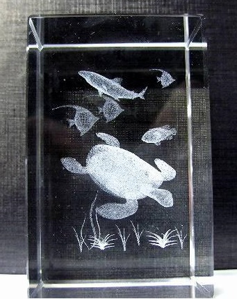 [cr35] Crystal Schildpad met vissen